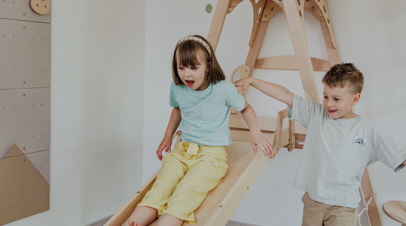 The Benefits of Playground Slides for Home Playrooms