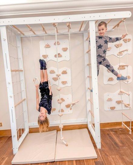 Monkey Bars with Swing Set
