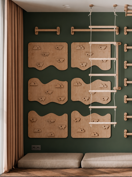 Home Climbing Wall