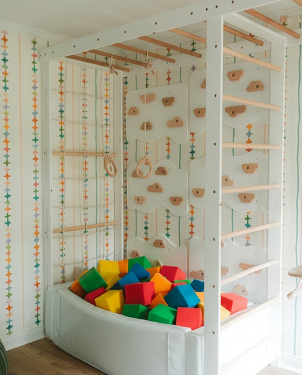 Monkey Bars with Swing Set