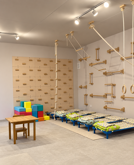 Indoor Play Gym