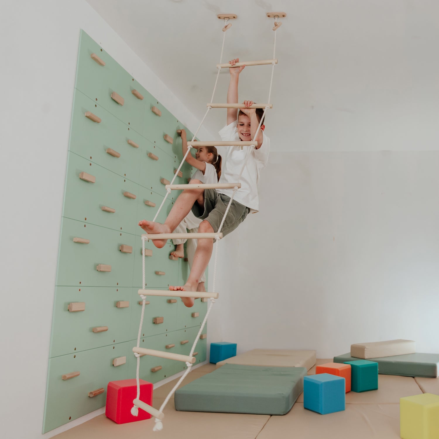 Ceiling Mounted Climbing Ladder