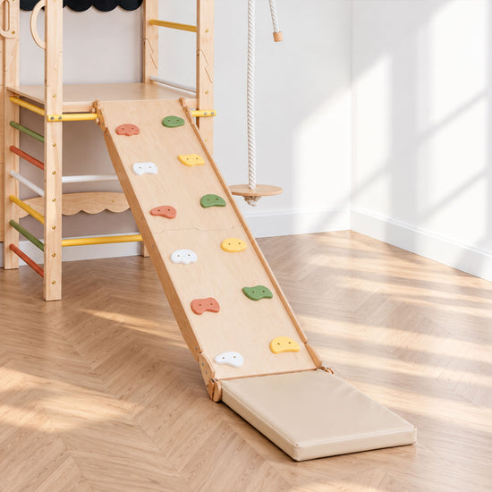 Playground Ladder