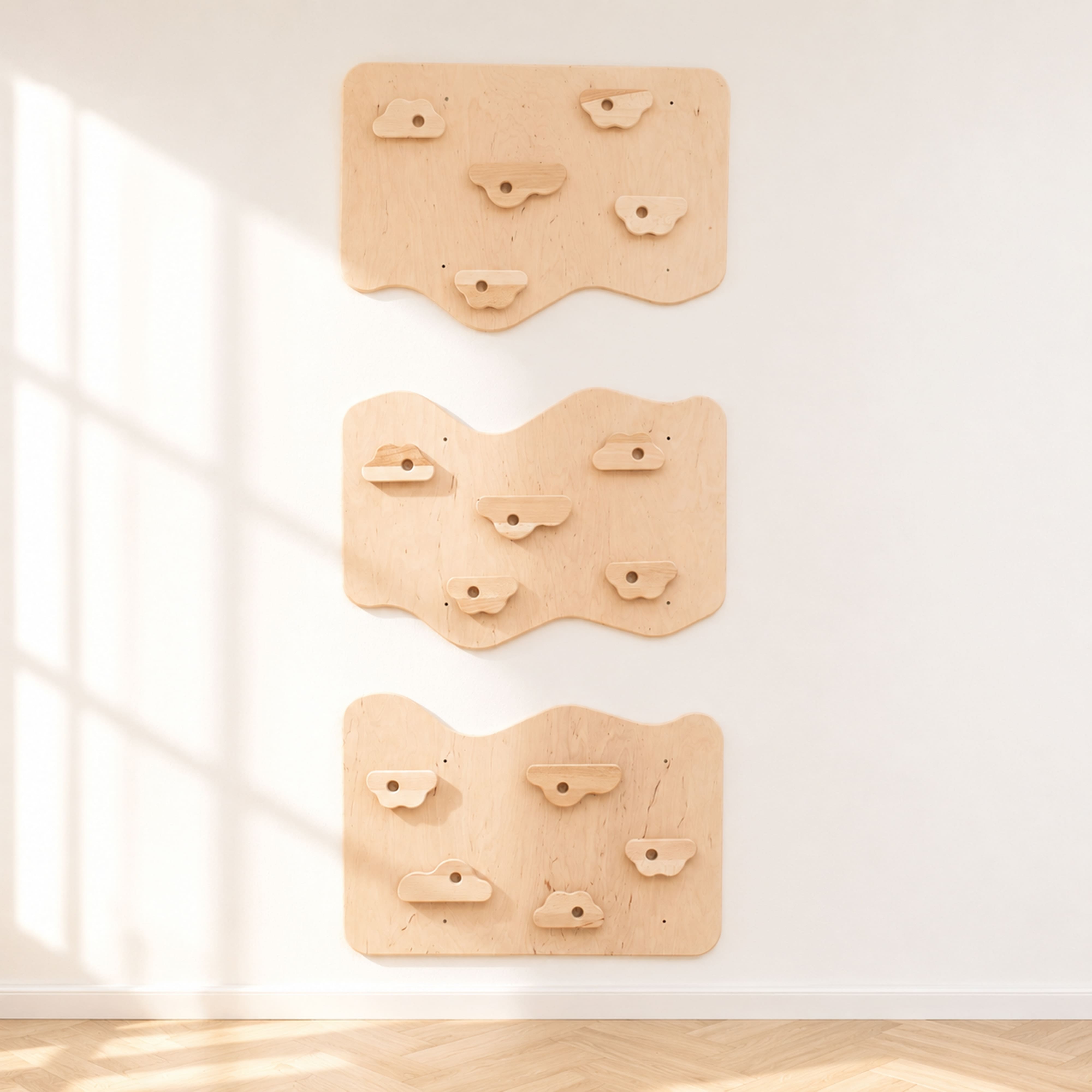 Home Climbing Wall