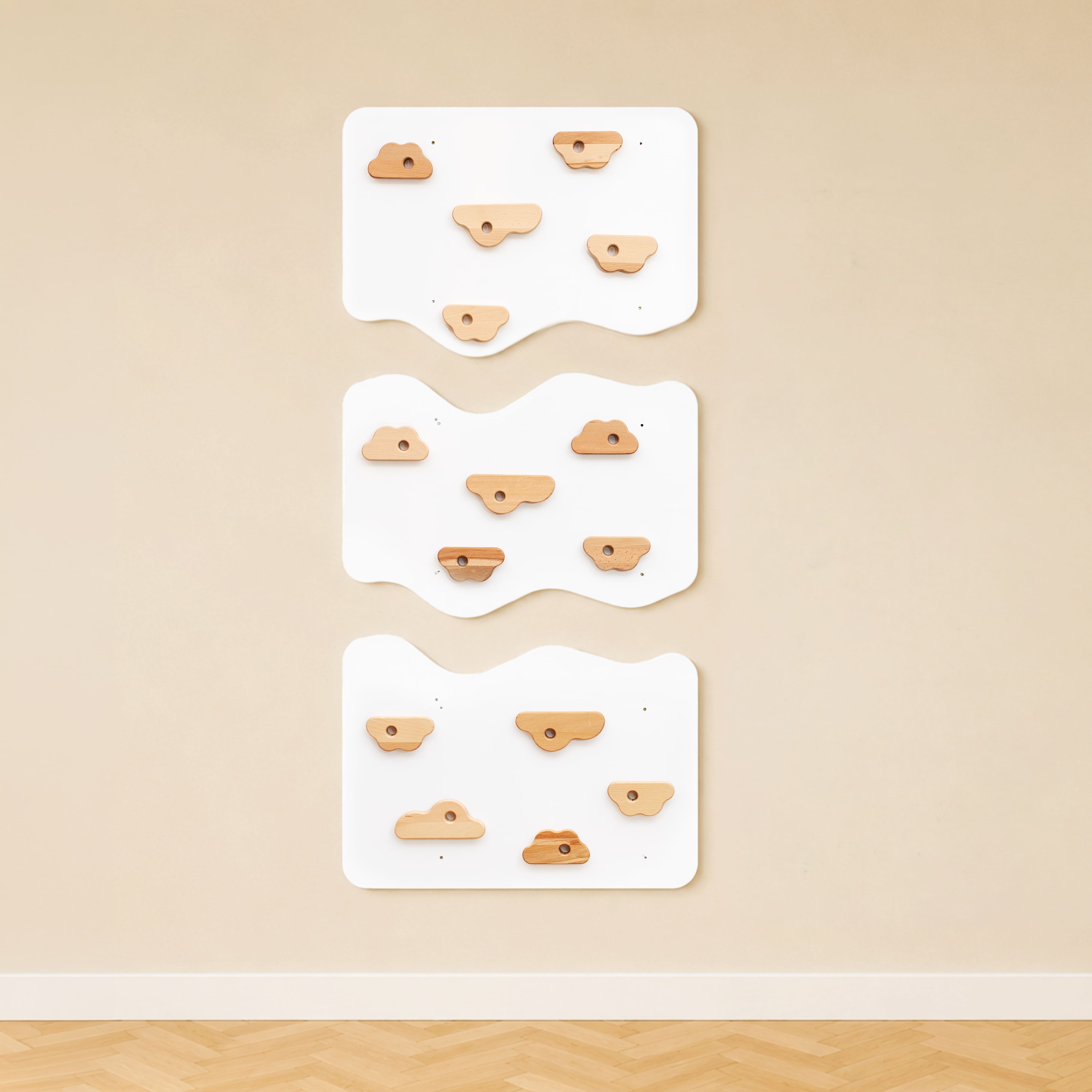 Home Climbing Wall