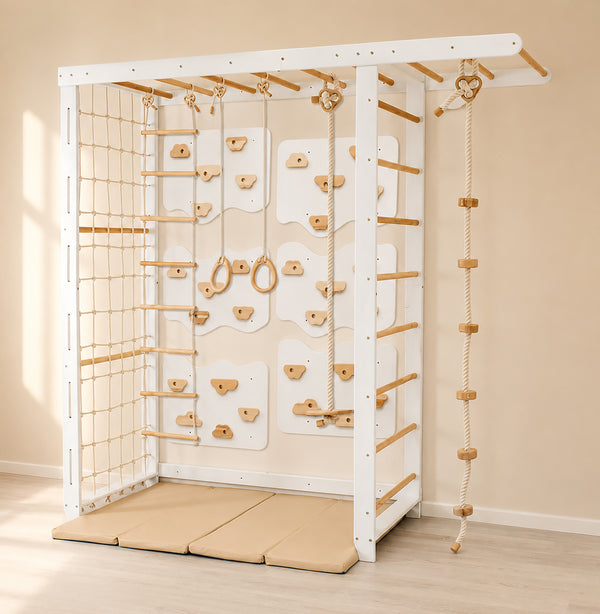 Monkey Bars with Swing Set