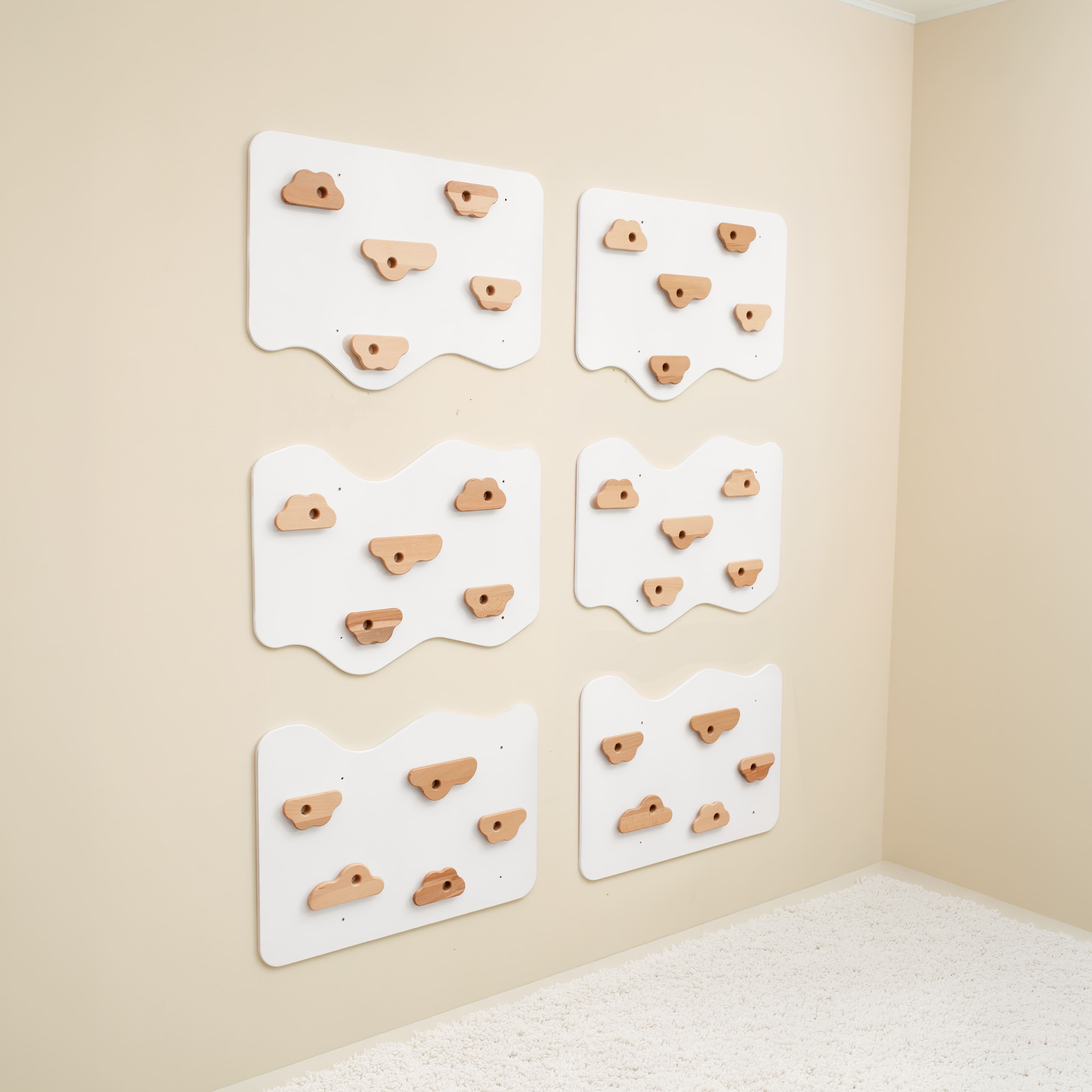 Home Climbing Wall