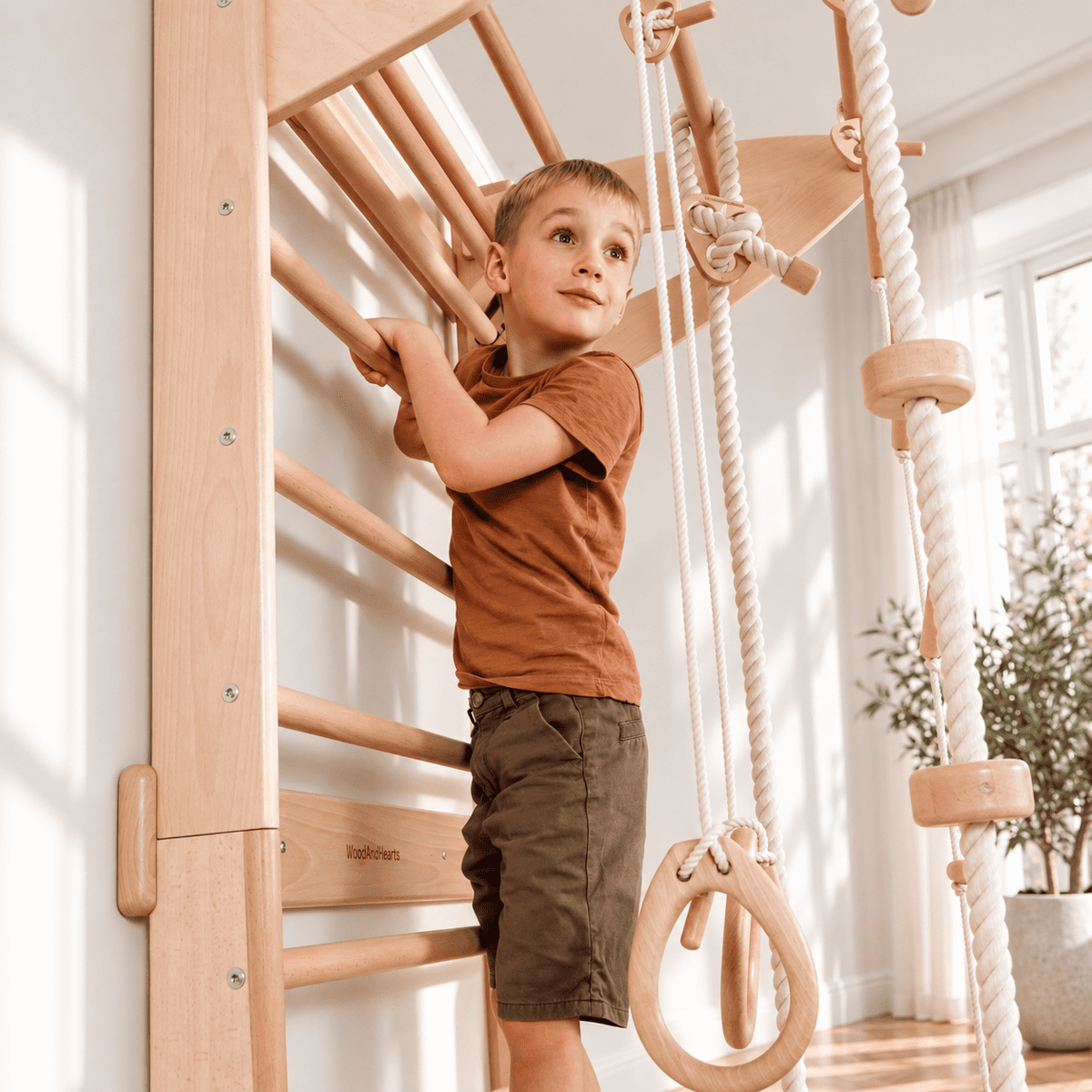 Swedish Wall Gym Set with Accessories