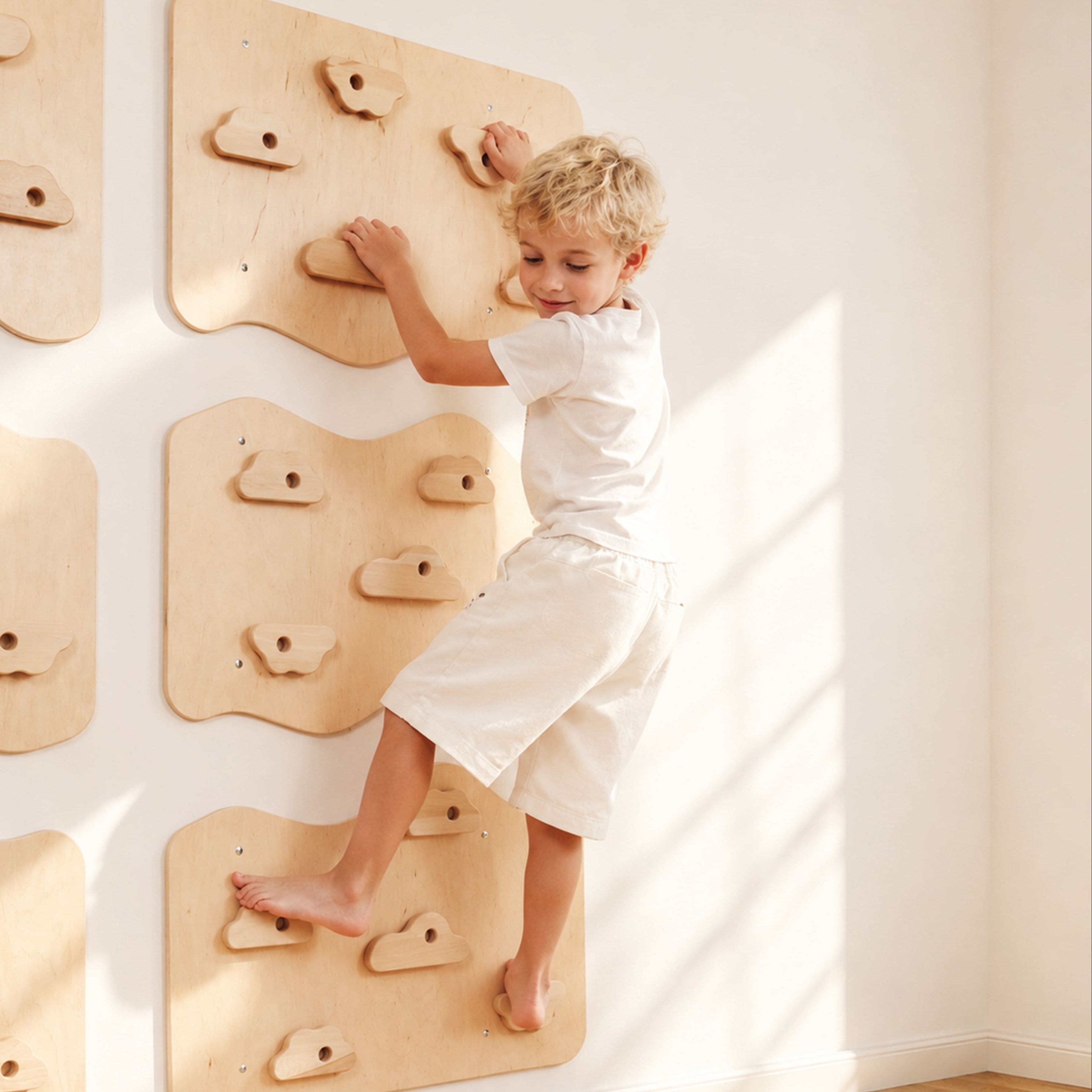 Home Climbing Wall