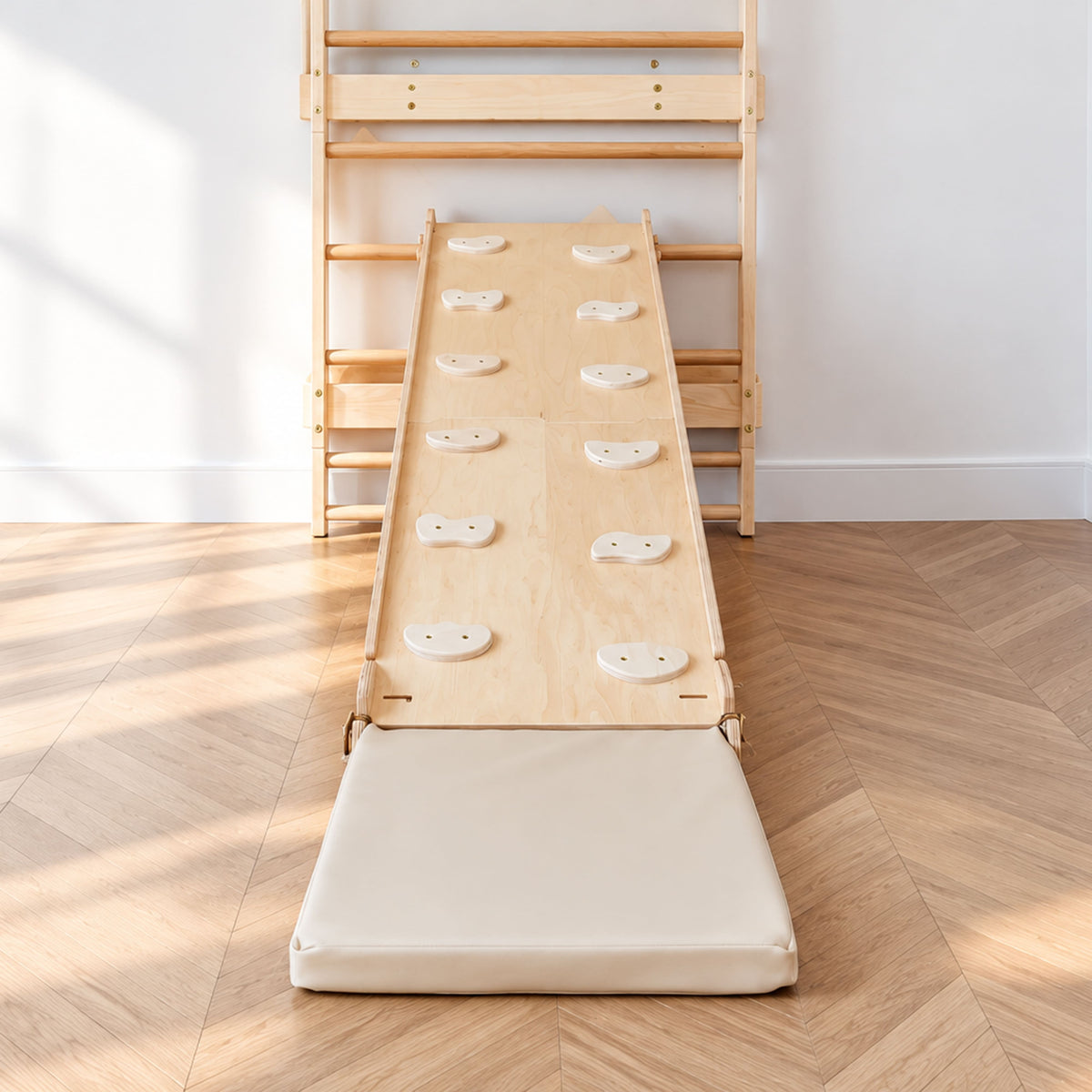 Playground Ladder