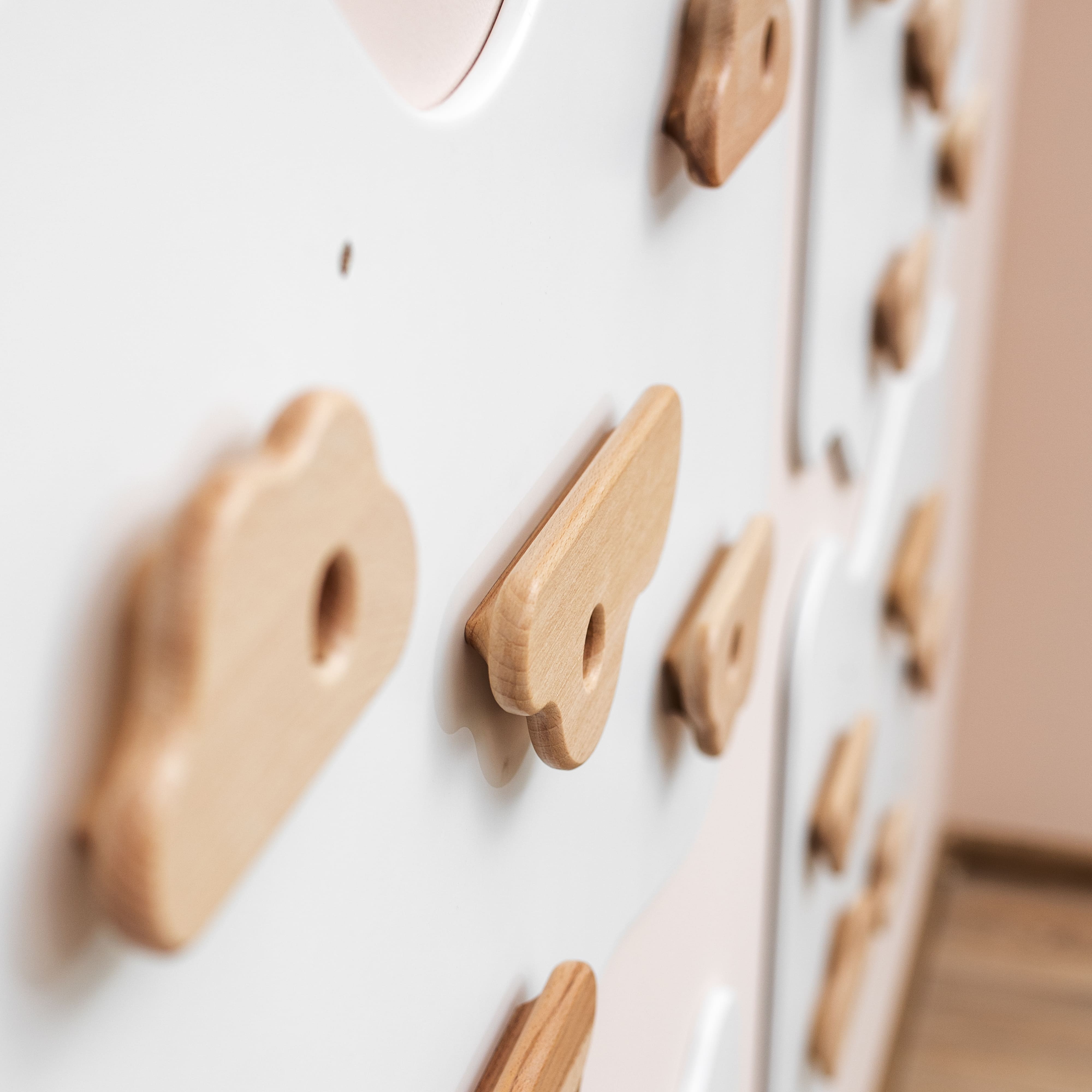 Home Climbing Wall
