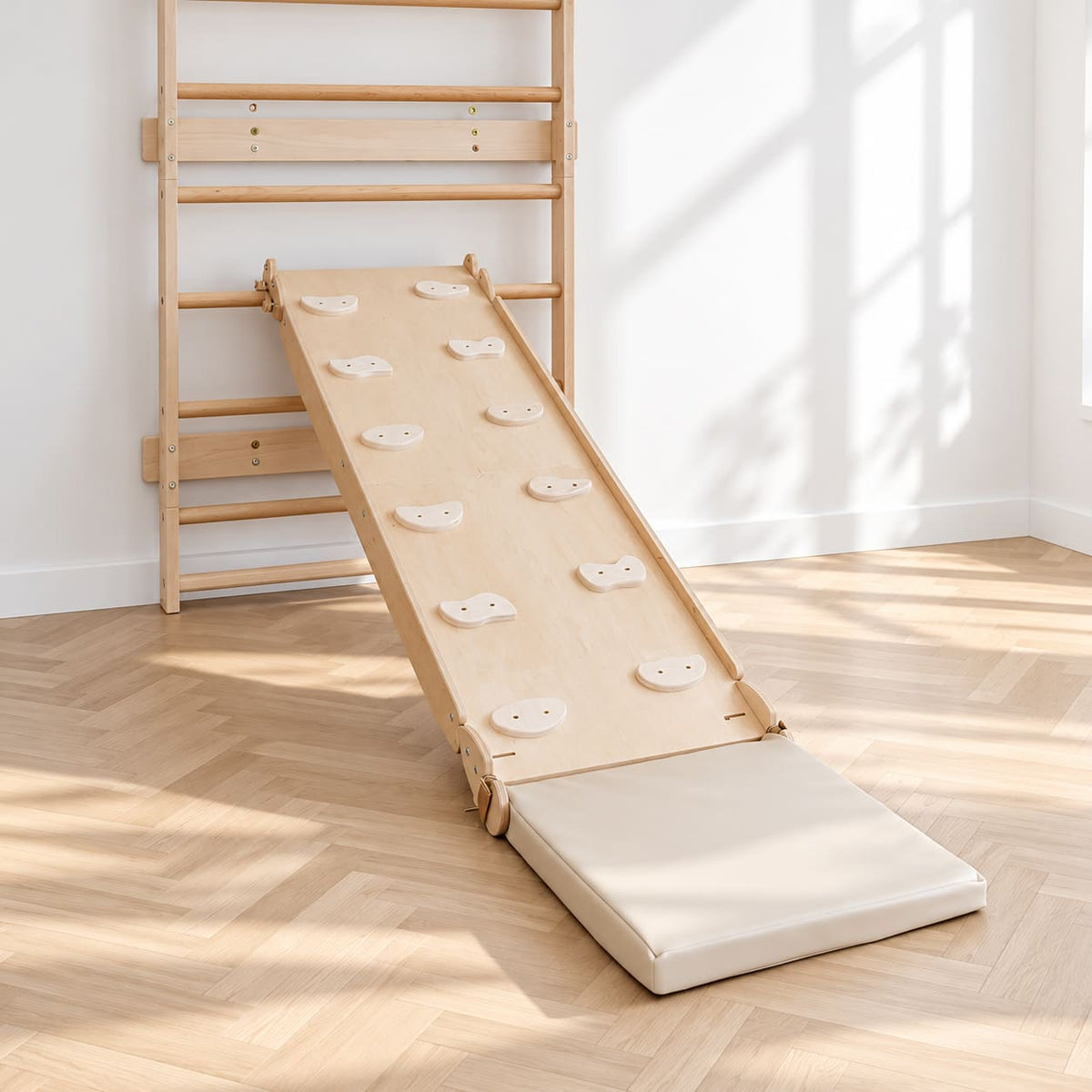 Playground Ladder