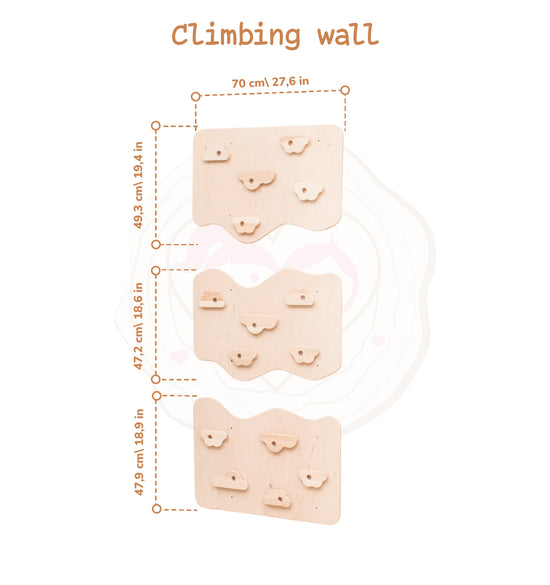 Home Climbing Wall