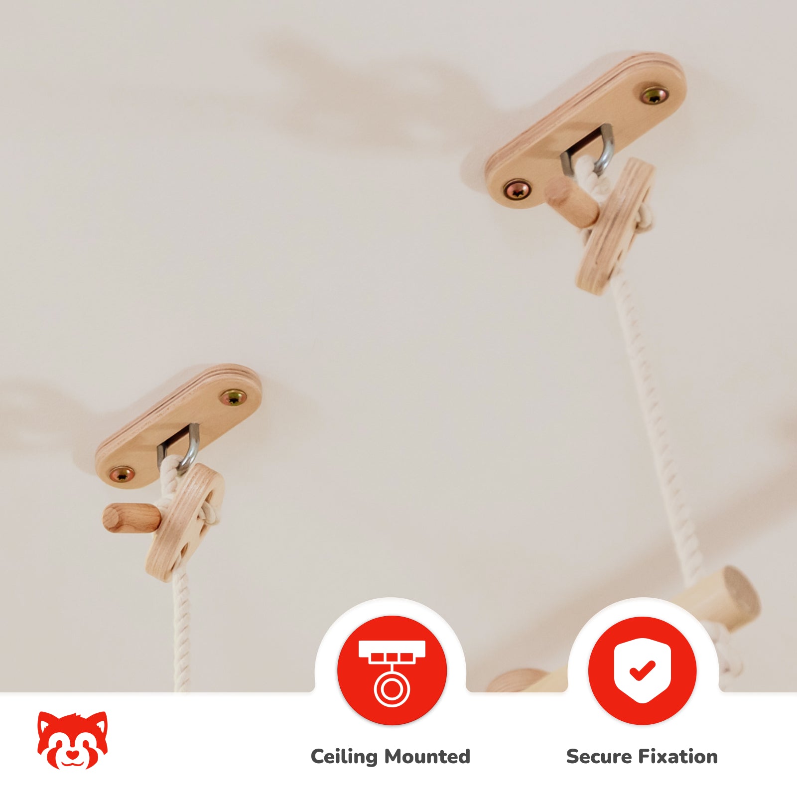 Ceiling Mounted Climbing Ladder