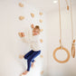 Climbing Holds