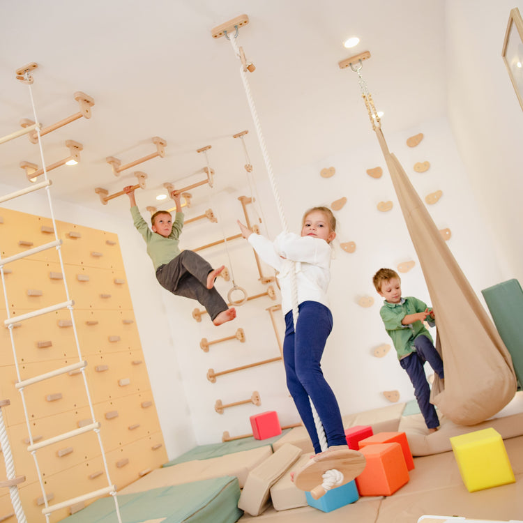 Indoor Play Gym