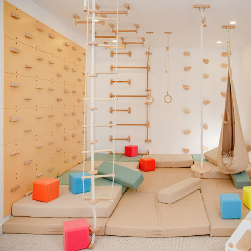 Indoor Play Gym