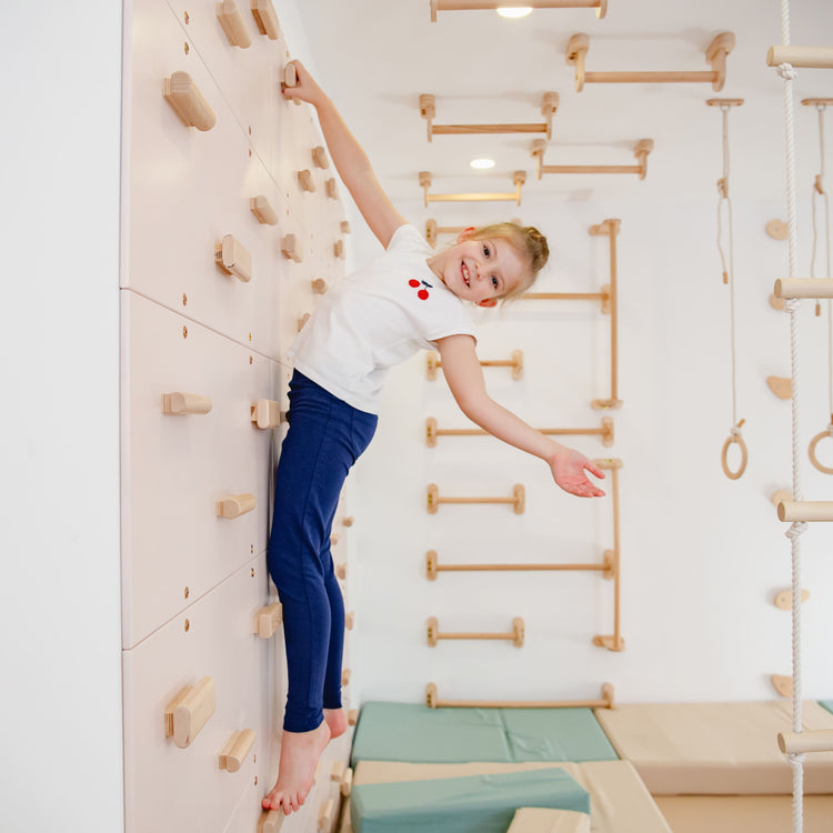 Indoor Play Gym