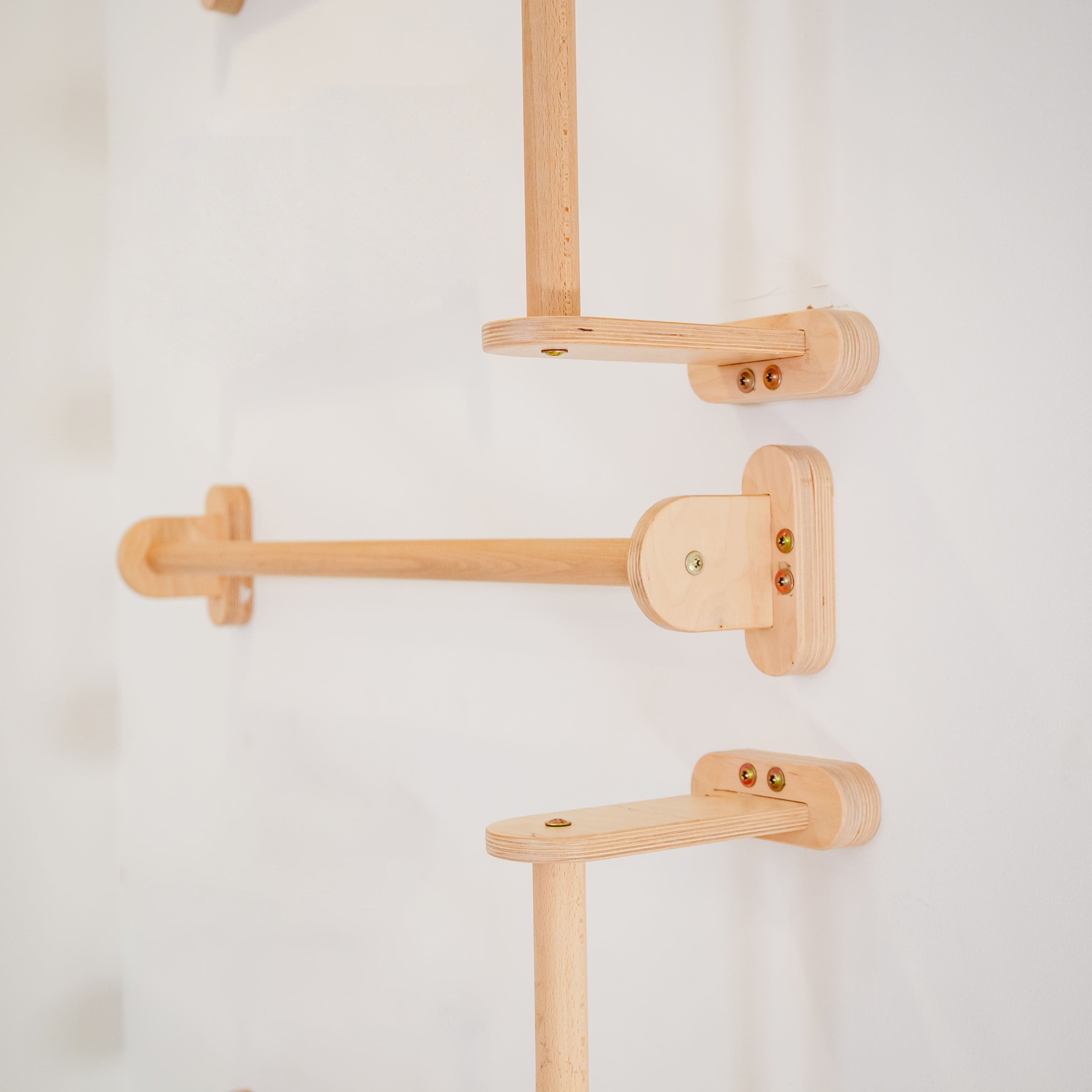 Home Monkey Bars