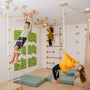 Wall Climbing Gym