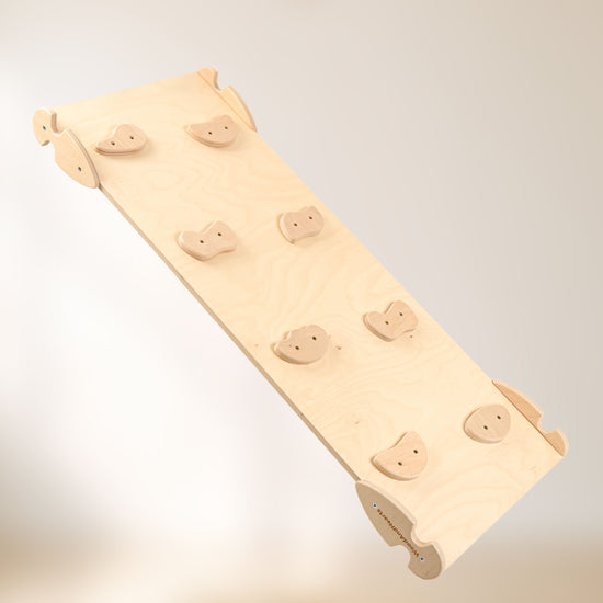 Rock Climbing Slide