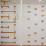 Wall Climbing Gym