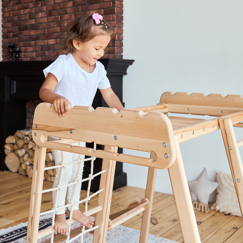 Jungle Gym Playset