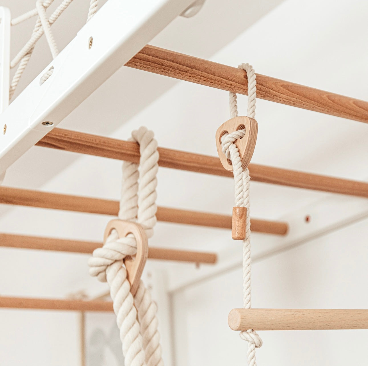 Monkey Bars Jungle Gym