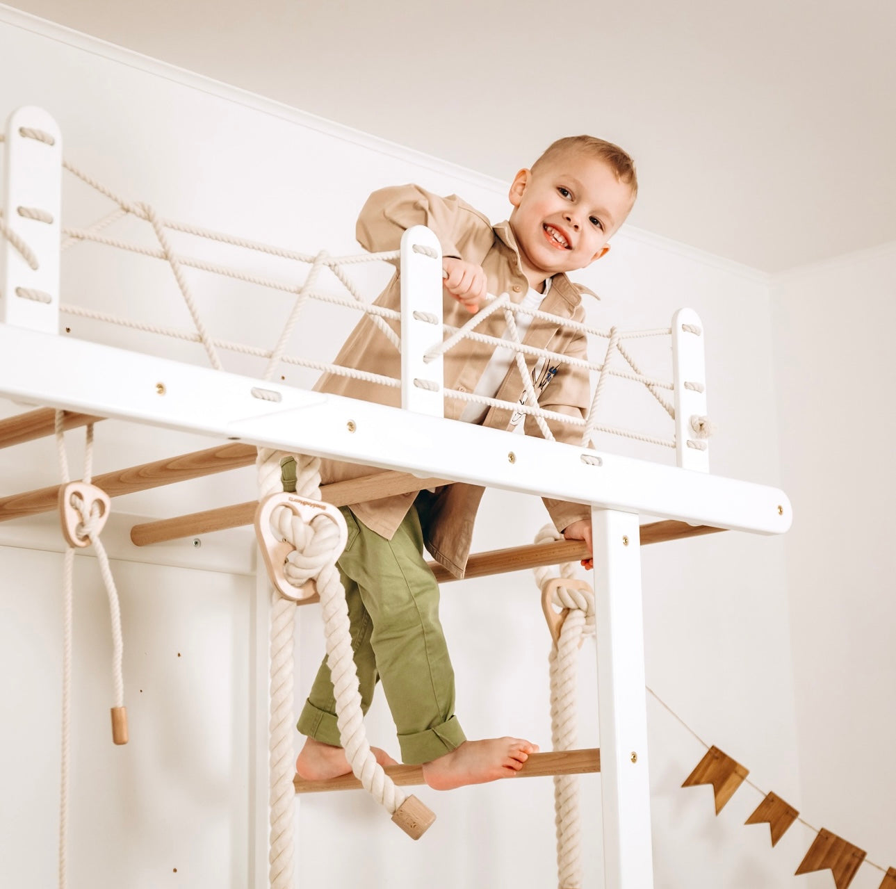 Monkey Bars Jungle Gym