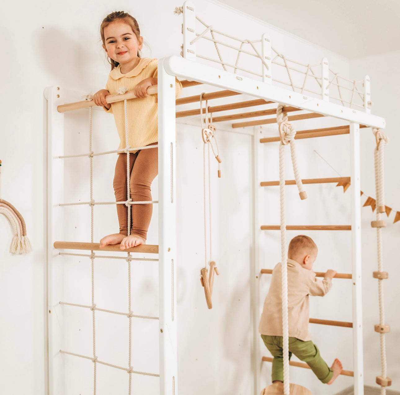 Monkey Bars Jungle Gym