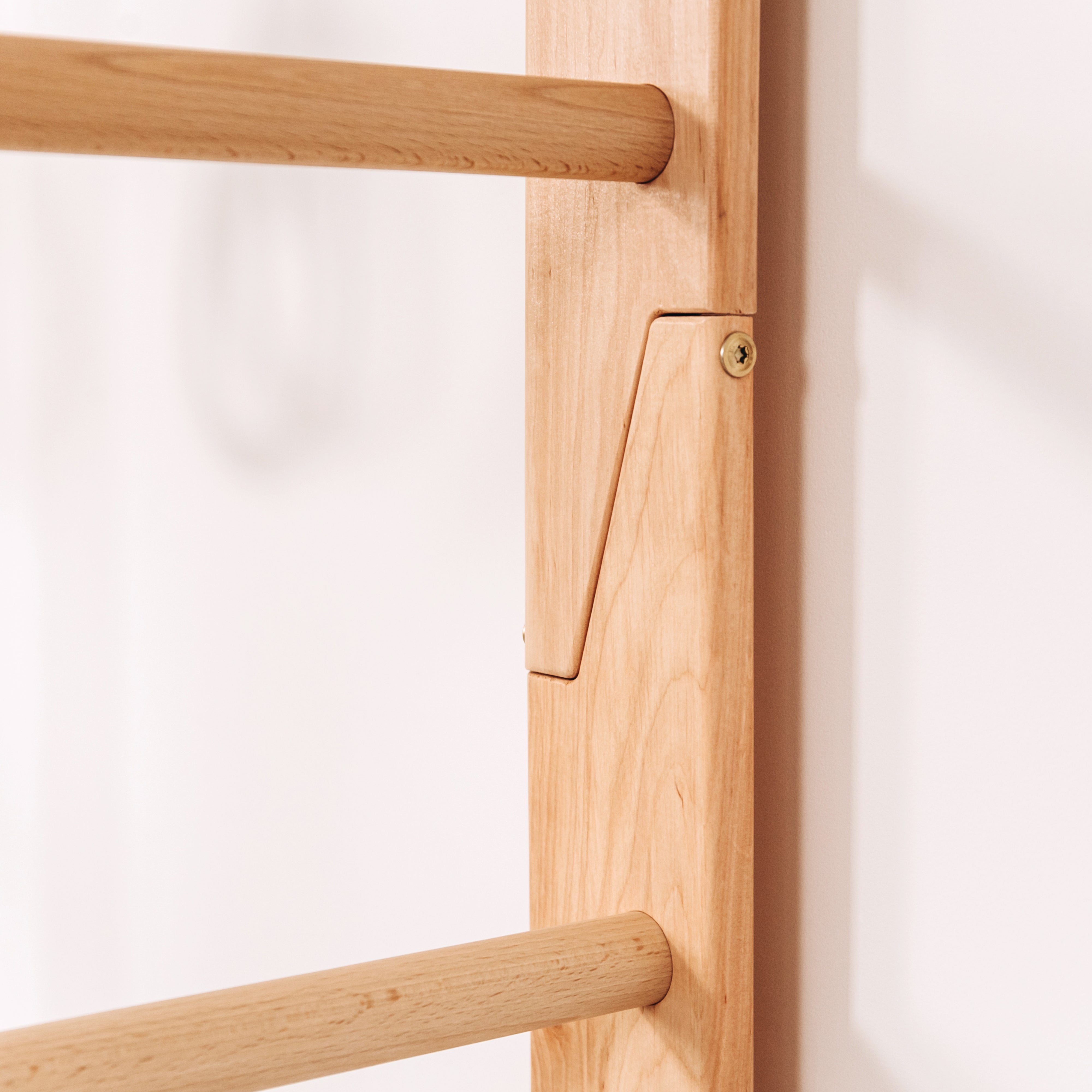 Monkey Bars with Swing Set