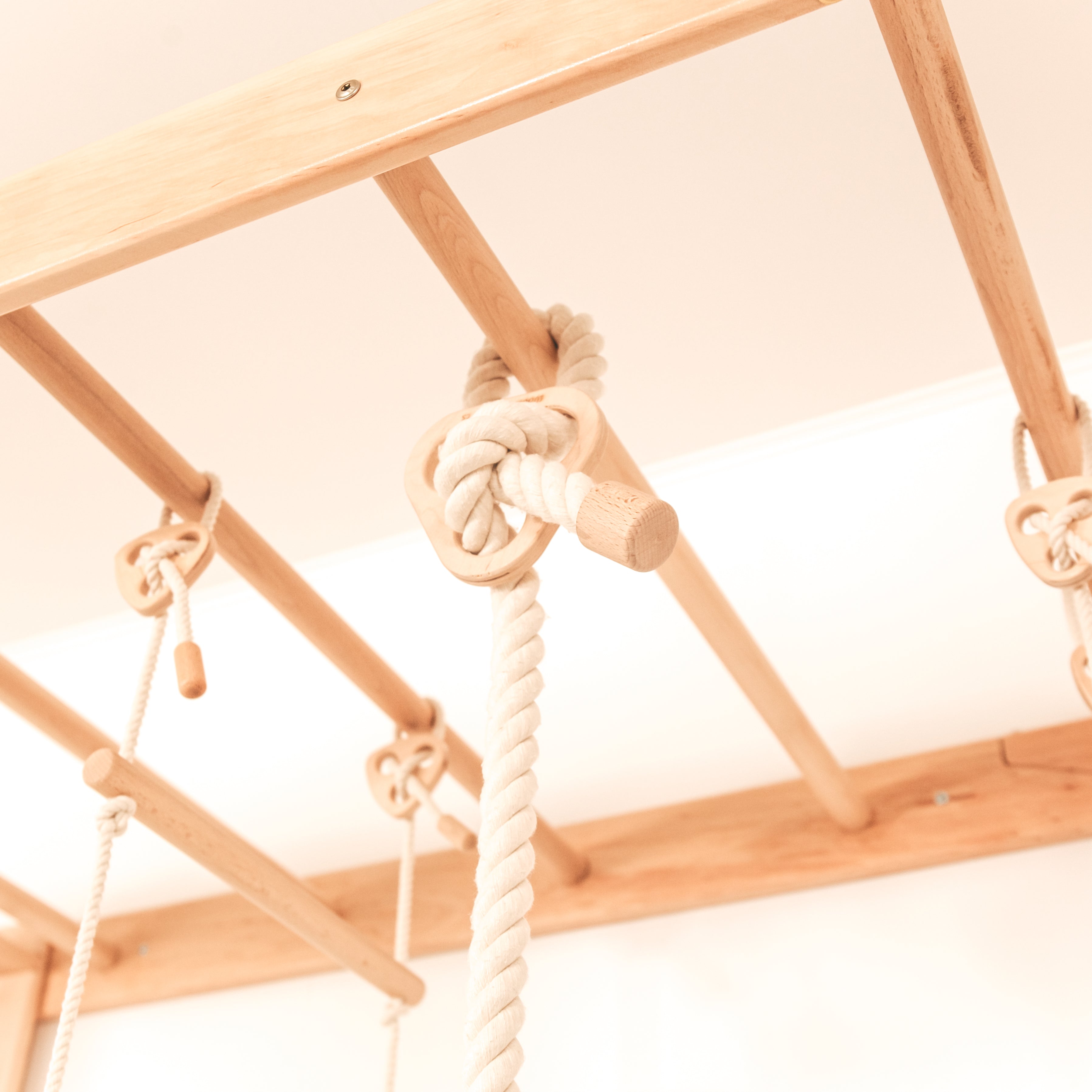 Monkey Bars with Swing Set