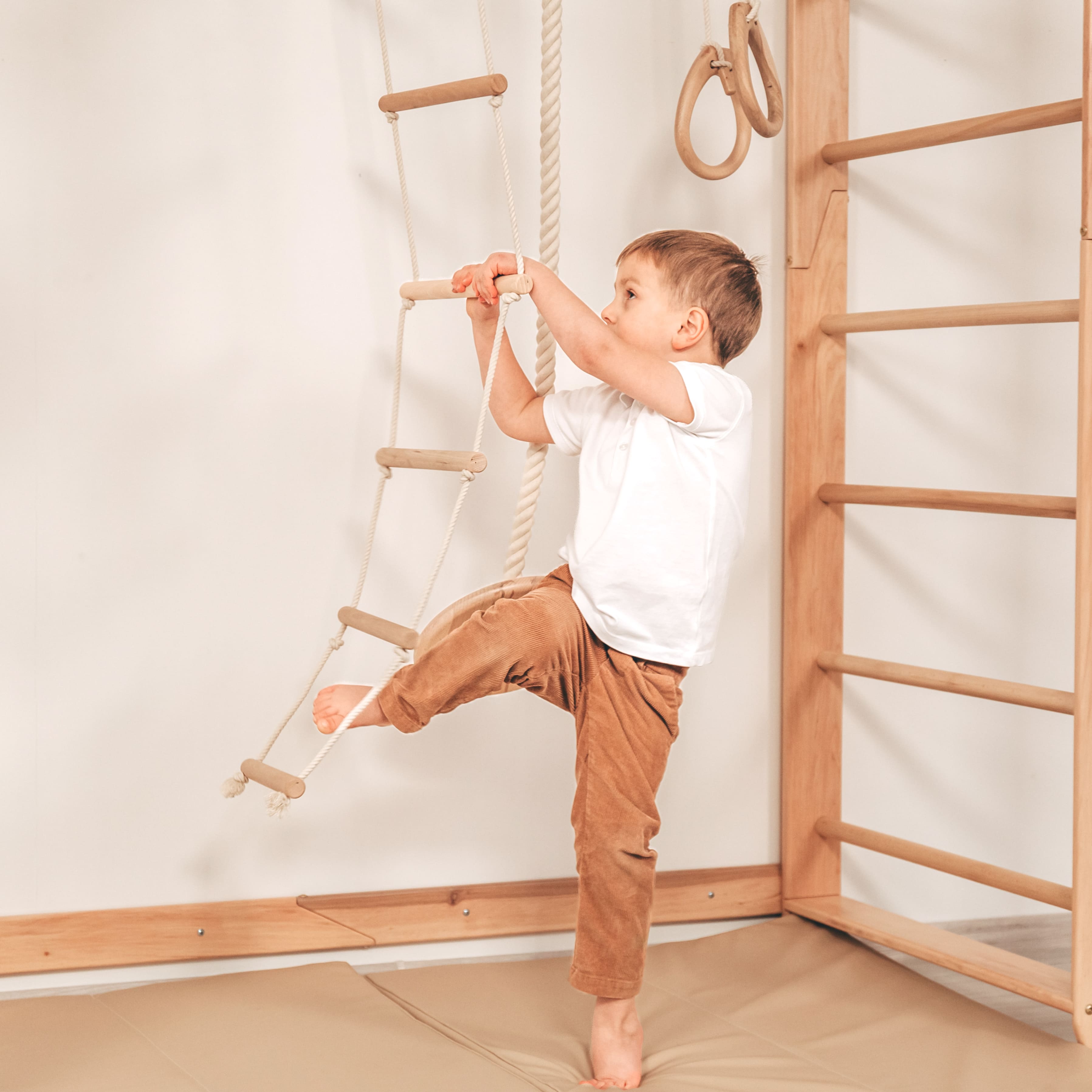 Climbing Jungle Gym