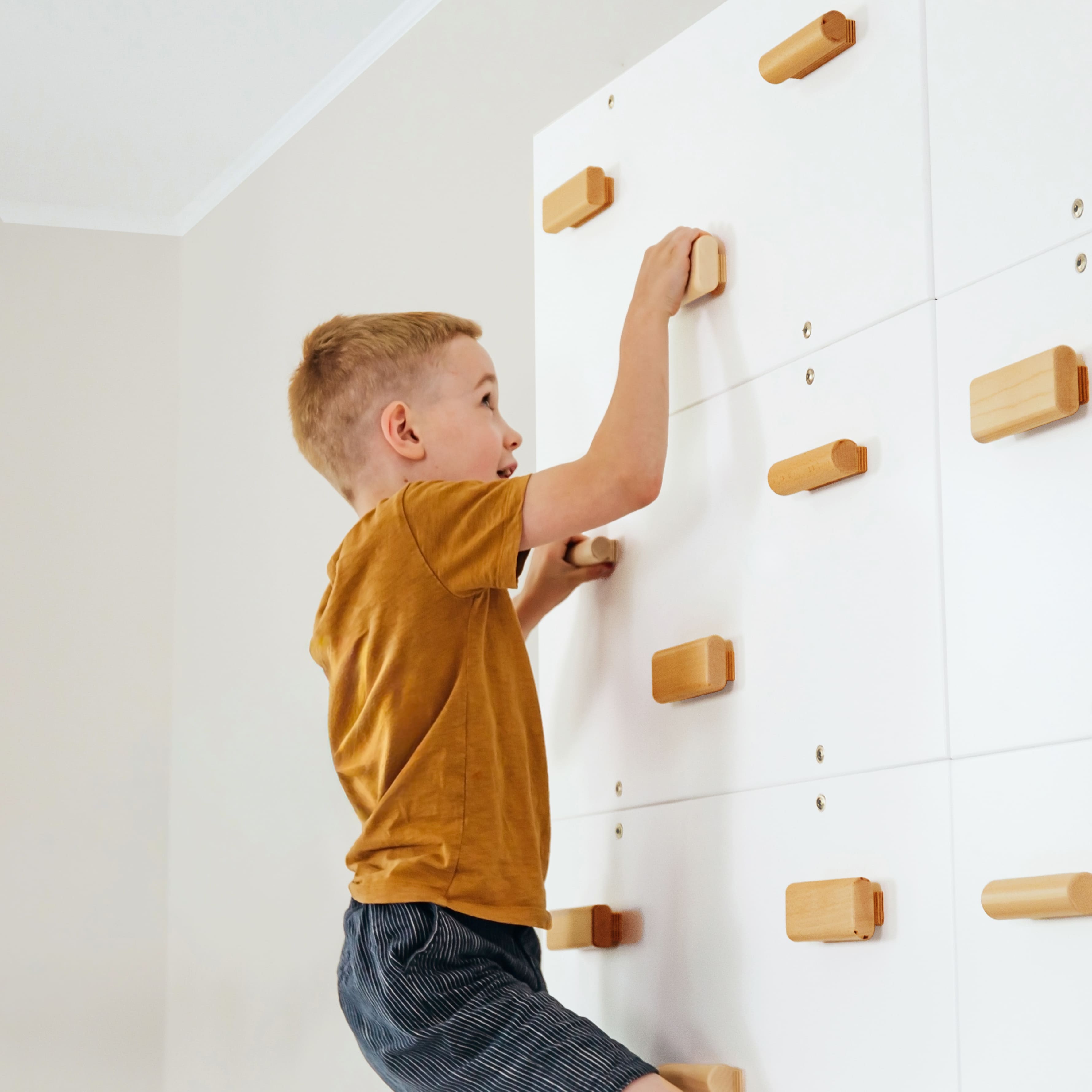Rock Climbing Wall