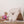 Load image into Gallery viewer, Montessori Climber with Accessories
