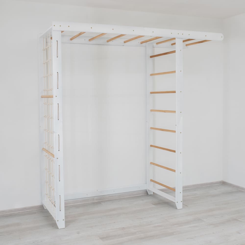 Monkey Bars with Swing Set