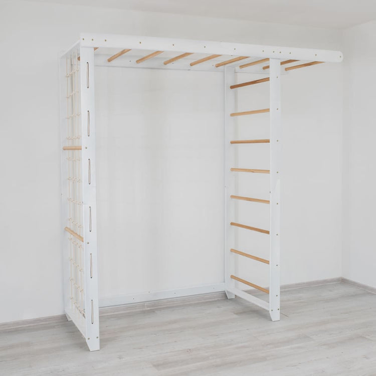 Monkey Bars with Swing Set