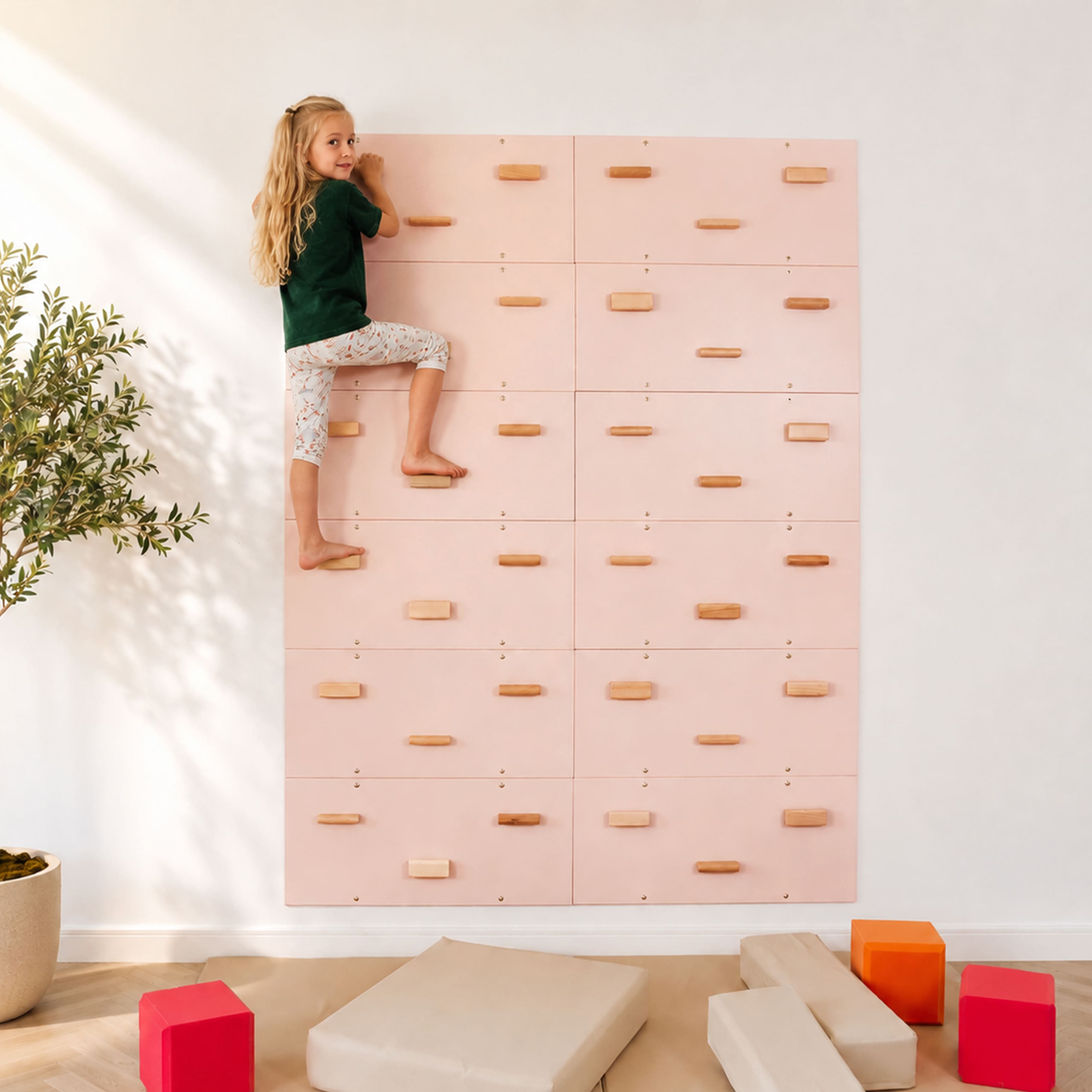 Rock Climbing Wall