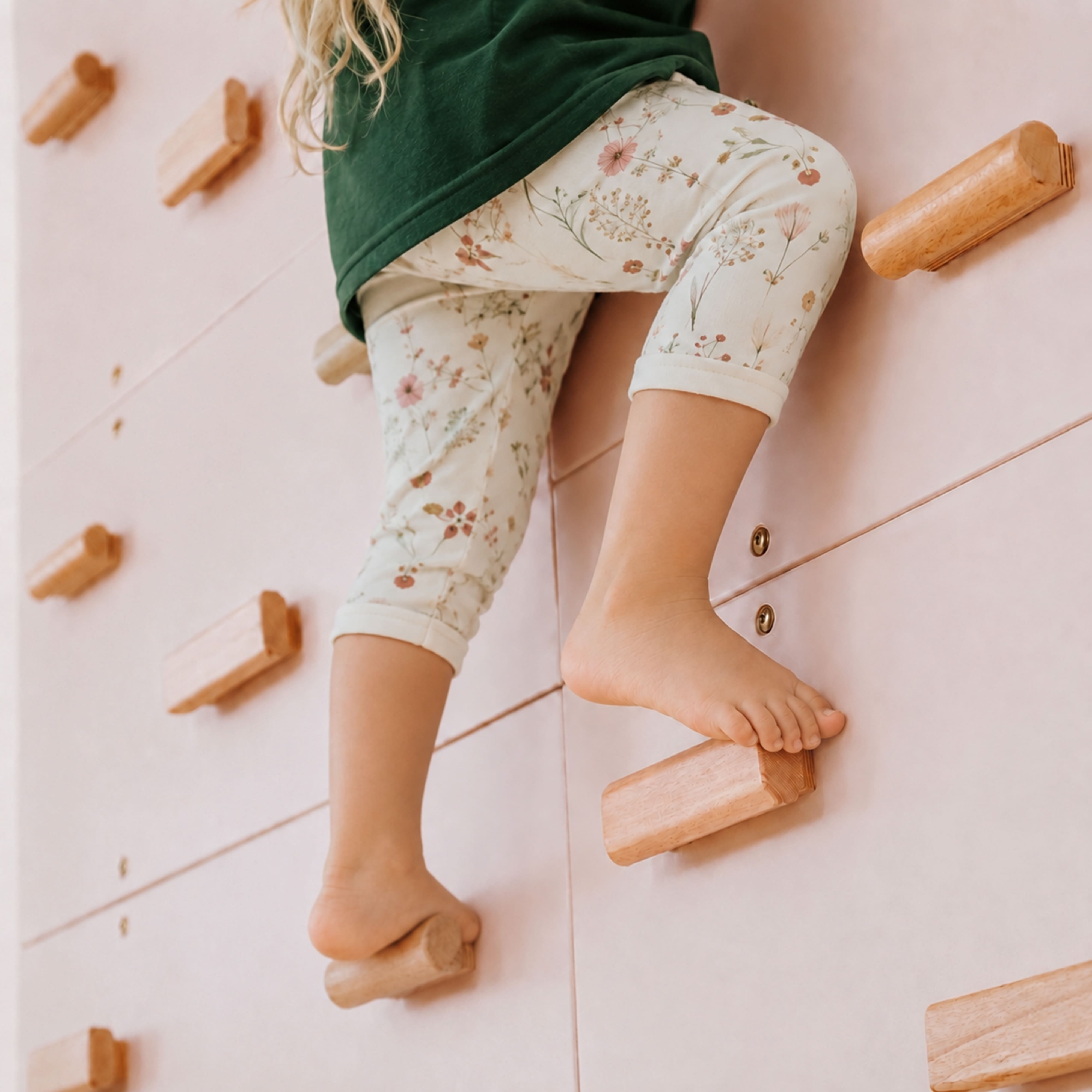 Rock Climbing Wall