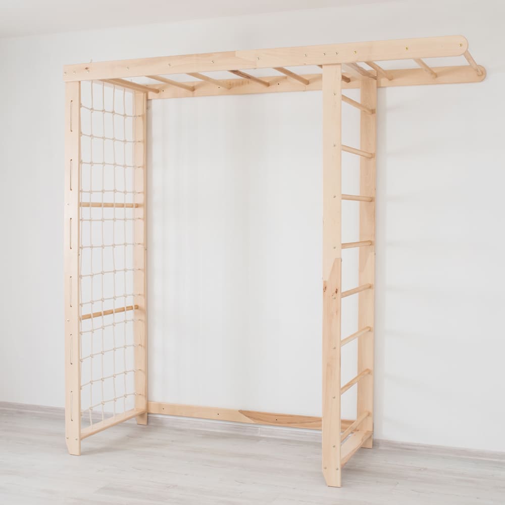 Monkey Bars with Swing Set