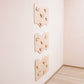 Home Climbing Wall