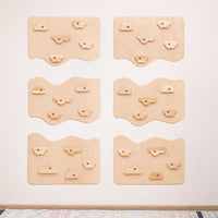Home Climbing Wall
