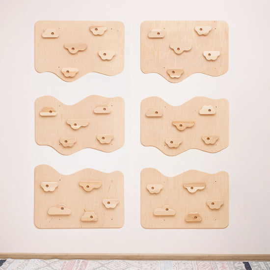 Home Climbing Wall