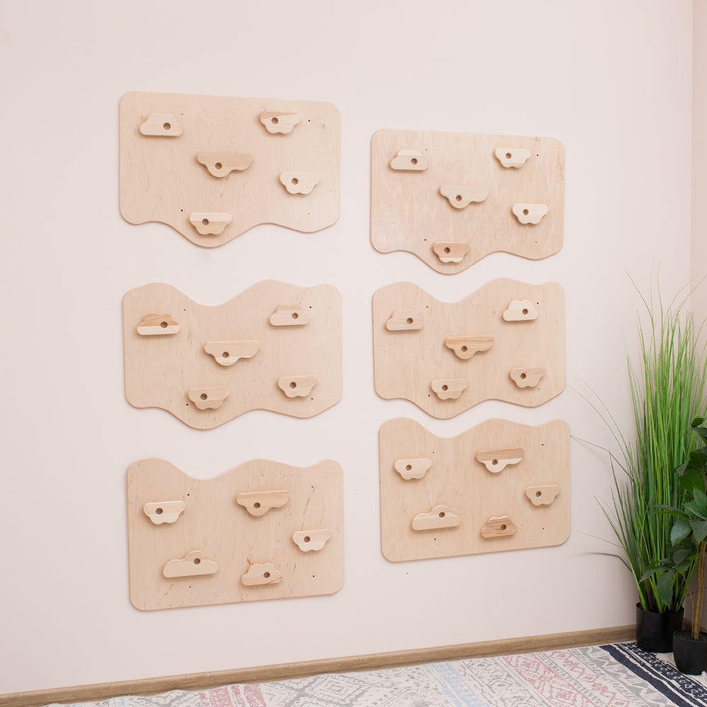 Home Climbing Wall