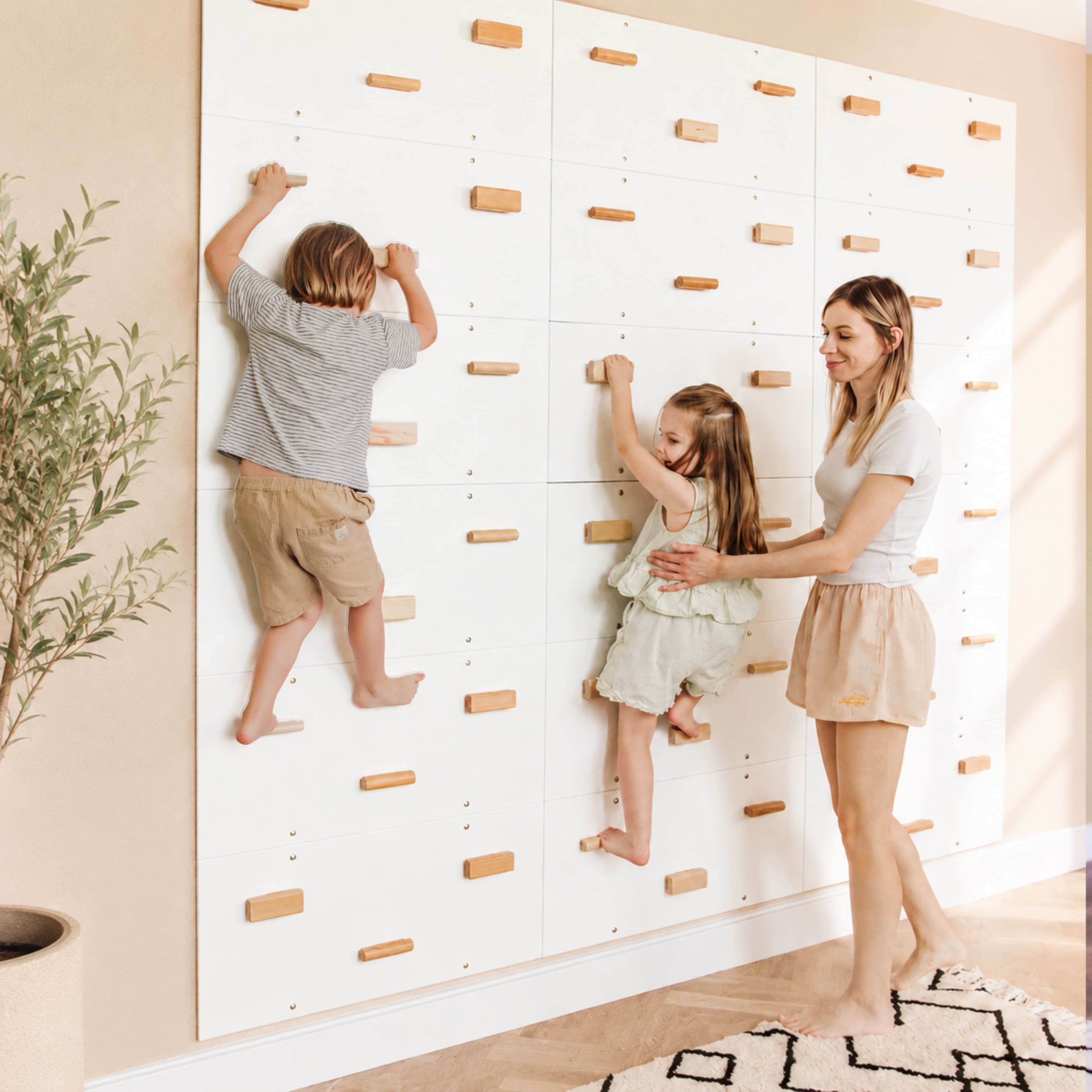 Rock Climbing Wall