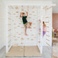 Climbing Playground