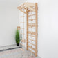 Swedish Wall Gym Set with Accessories