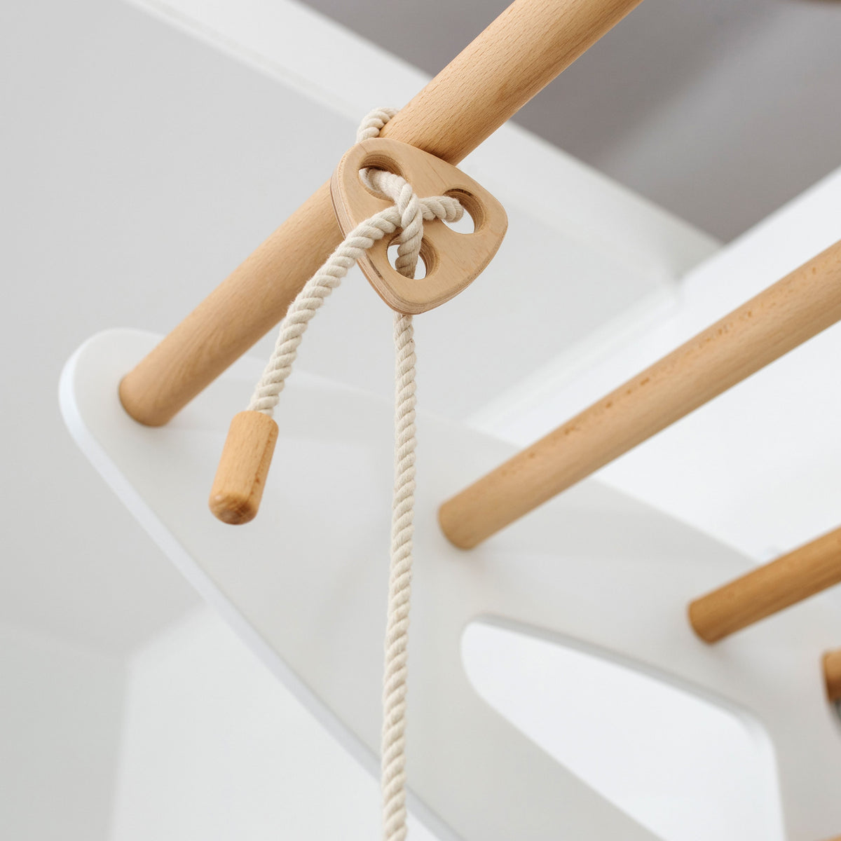 Swedish Wall Gym Set with Accessories