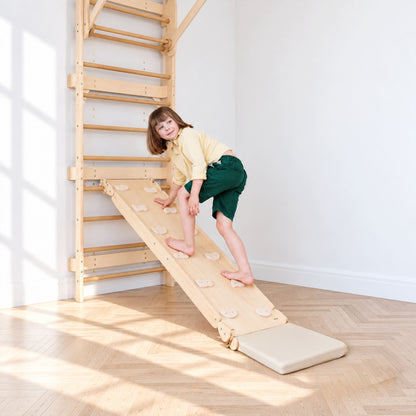Playground Ladder