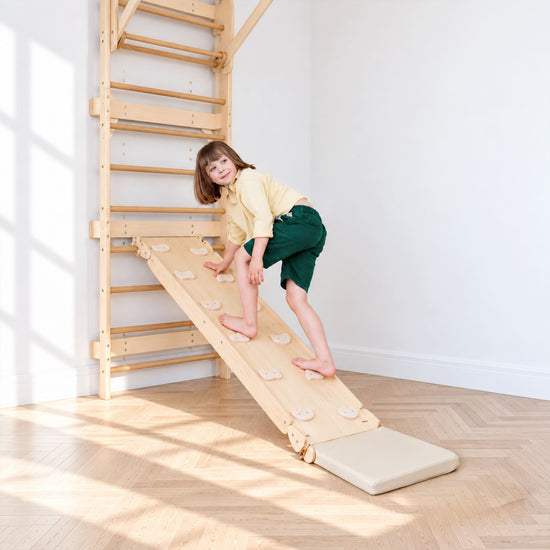 Playground Ladder